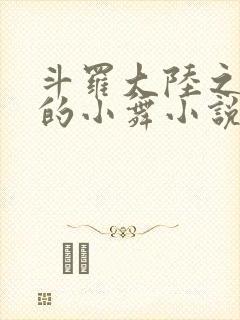 斗罗大陆之Y荡的小舞小说