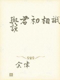 与君初相识 小说
