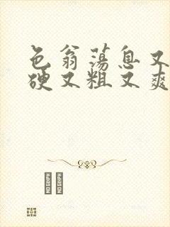 色翁荡息又大又硬又粗又爽