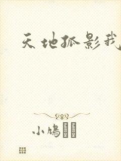 天地孤影我独行