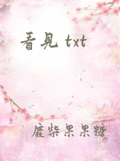 看见 txt