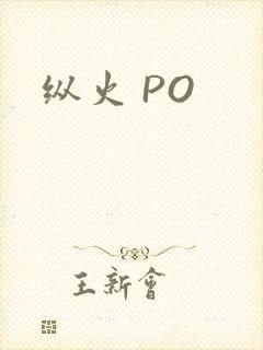 纵火 PO