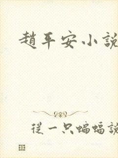 赵平安小说主角