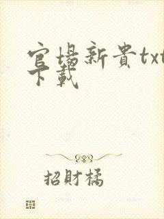 官场新贵txt下载