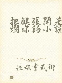 把腿张开老子臊烂你的小说