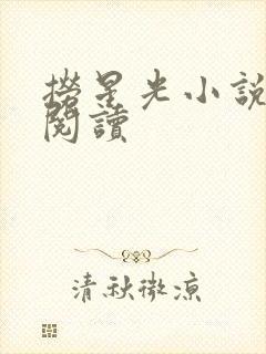 捞星光小说免费阅读