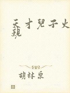 天才儿子火爆娘亲