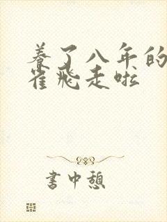 养了八年的金丝雀飞走啦