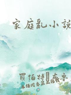家庭乱小说
