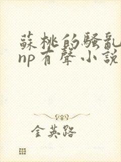 苏桃的骚乱文肉np有声小说