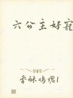 六公主好宠