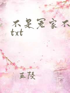 不是冤家不聚头txt