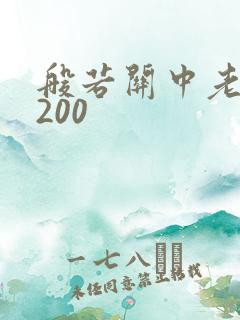 般若关中老人5200