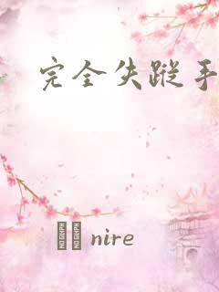 完全失踪手册
