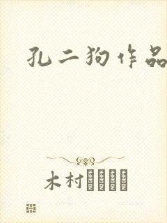 孔二狗作品
