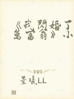 《我闪婚了个亿万富翁》小说