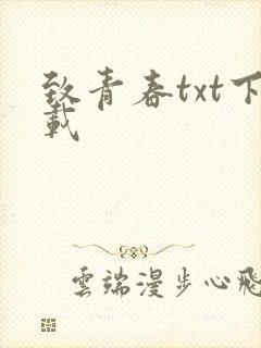致青春txt下载