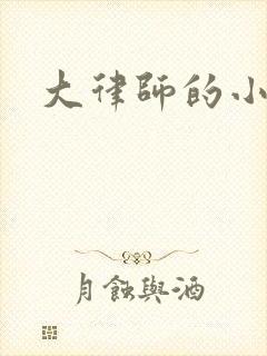 大律师的小老婆