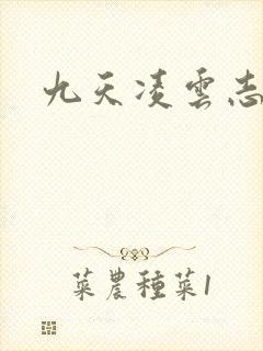 九天凌云志