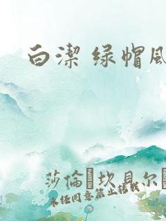 白洁 绿帽风云