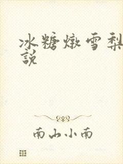冰糖炖雪梨 小说