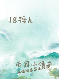 18号h