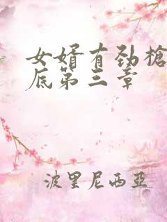 女婿有劲枪枪到底第三章