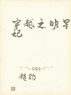 穿越之明星太子妃