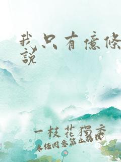 我只有亿条命小说