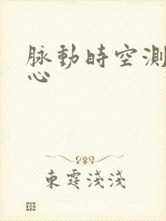 脉动时空测速中心