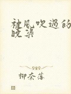 被风吹过的夏天晓渠