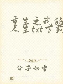 重生之我的书记人生txt下载