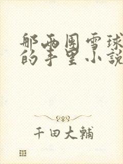 那两团雪球在他的手里小说