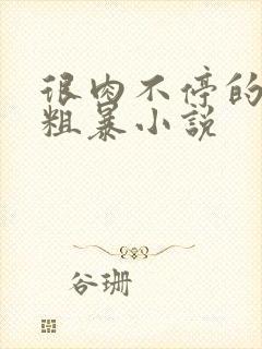 很肉不停的做很粗暴小说