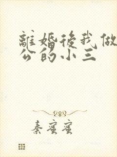 离婚后我做了老公的小三