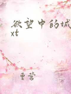 欲望中的城市txt