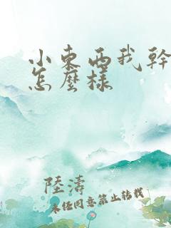 小东西我干的你怎么样