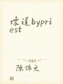 坏道bypriest