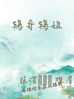 鸨哥鸨姐