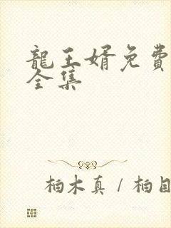 龙王婿免费完结全集