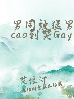男同被猛男房东cao到哭Gay
