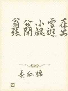 翁公小雪在厨房张开腿进出