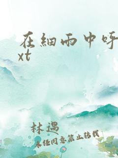 在细雨中呼喊txt