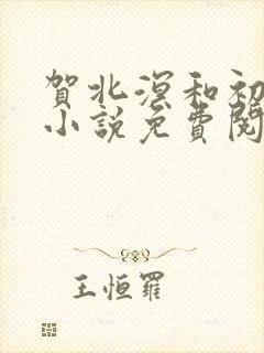 贺北溟和初夏的小说免费阅读无弹窗