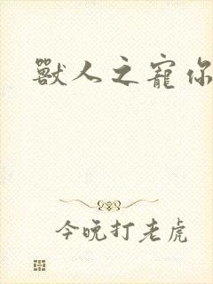 兽人之宠你为上