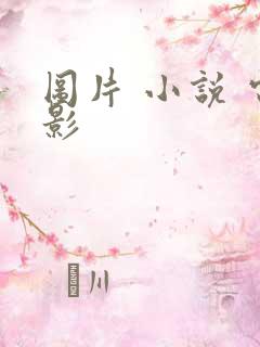 图片 小说 电影