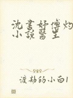 沈书妤傅灼抖音小说医生