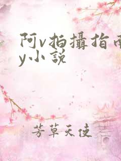 阿v拍摄指南by小说