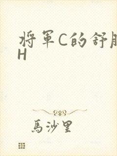 将军C的舒服么H