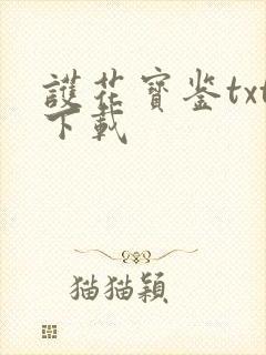 护花宝鉴txt下载